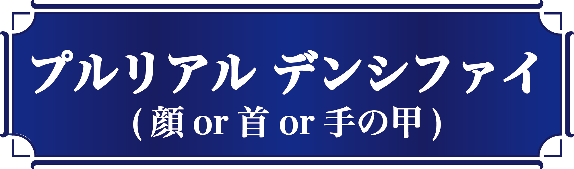 プルリアルデンシファイ１@2000x-8.png
