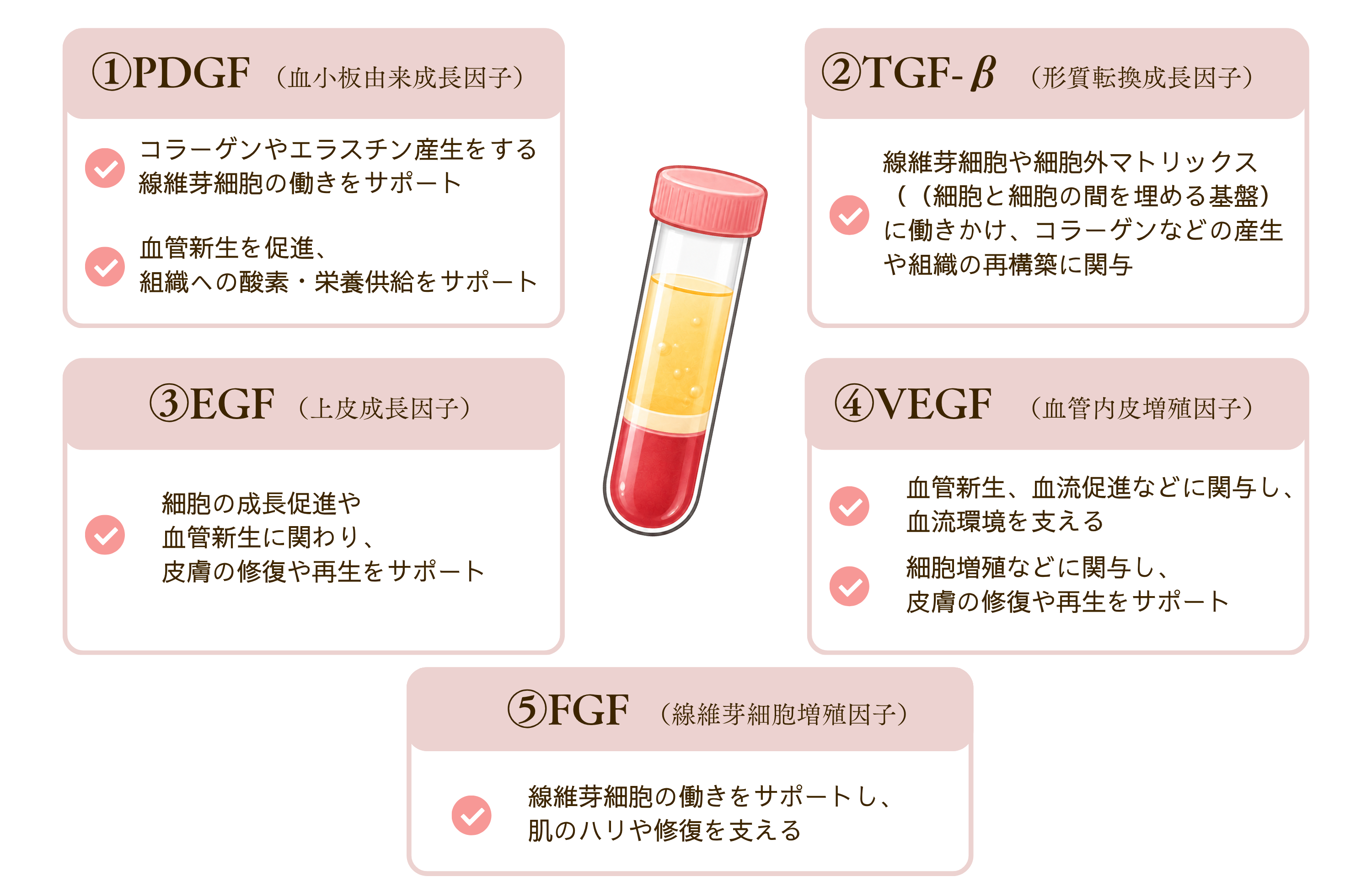 W-PRP皮膚再生治療の主な成長因子.png