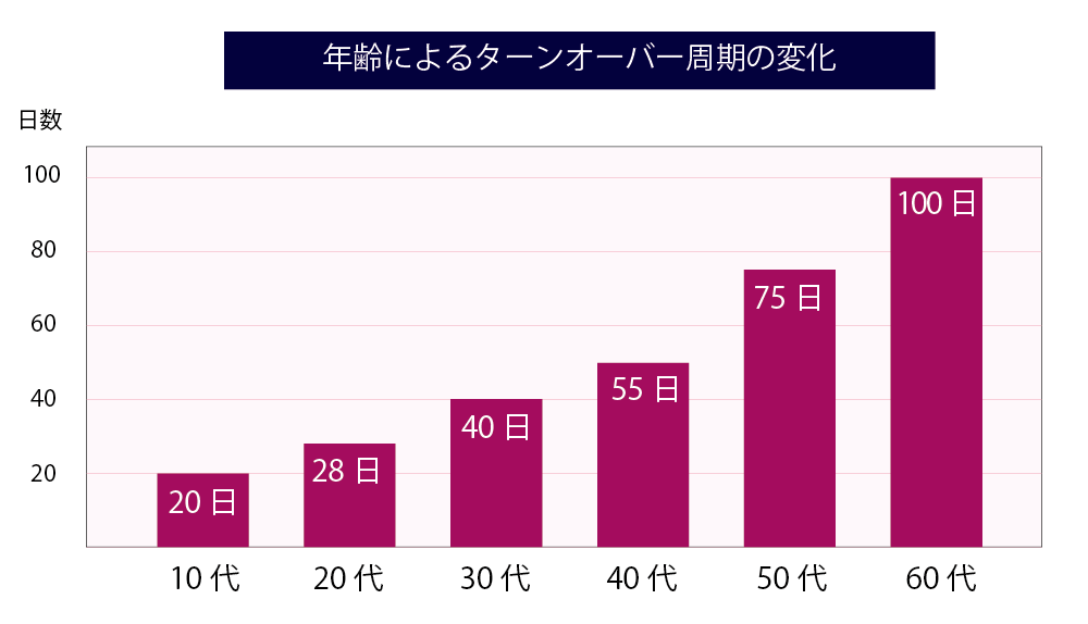 年齢によるターンオーバー周期の変化.png